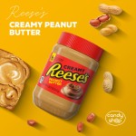 Reese's Creamy Peanut Butter 510g Krem o smaku orzechowym